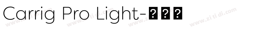 Carrig Pro Light字体转换